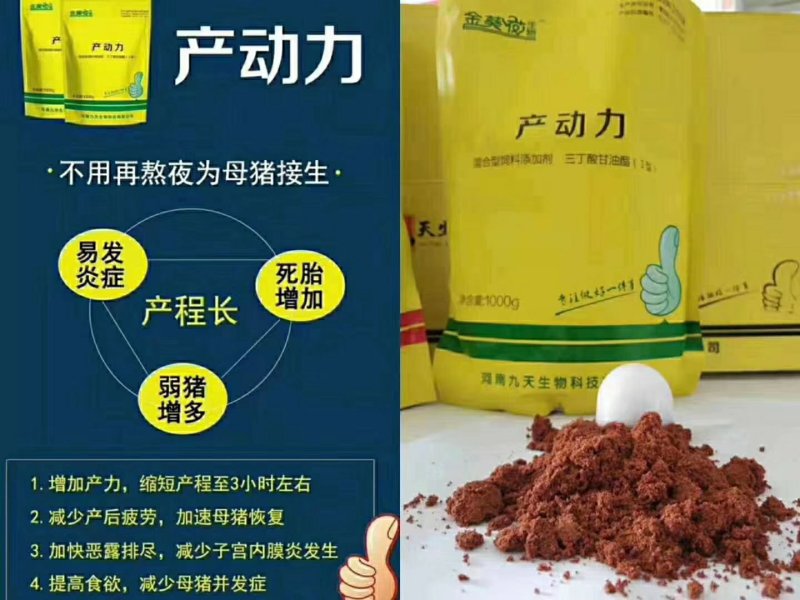 产动力_缩短母猪产程看的见