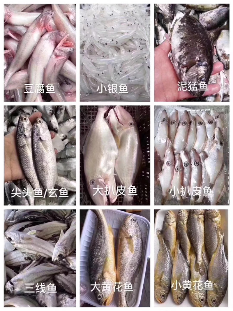 各类海鲜各类丸子诚招代理批发小区拼单合作