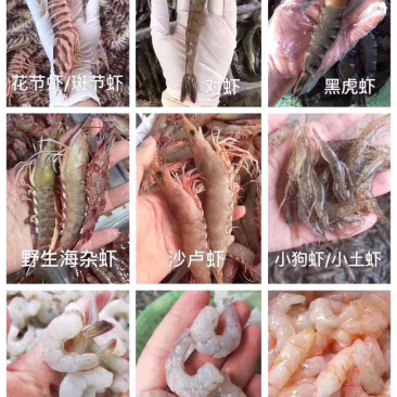 各类海鲜各类丸子诚招代理批发小区拼单合作