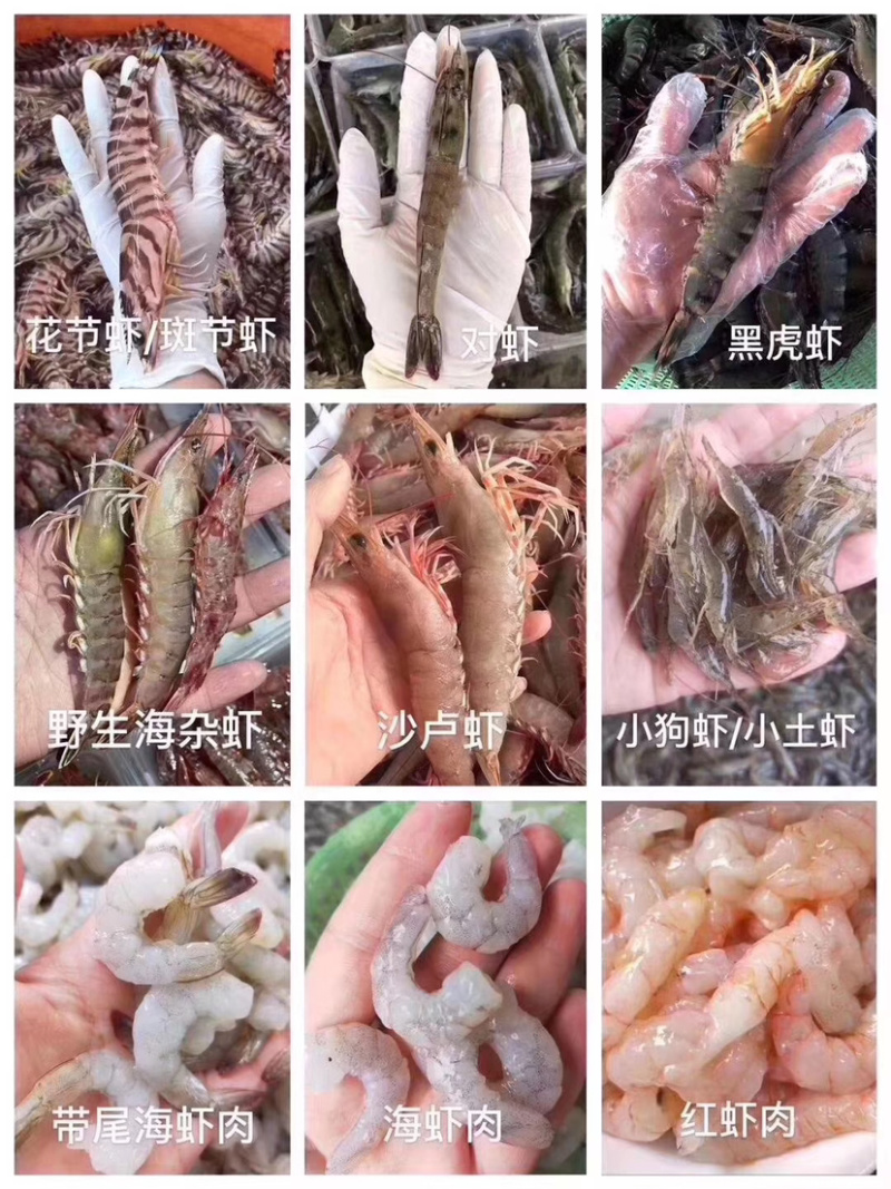 各类海鲜各类丸子诚招代理批发小区拼单合作