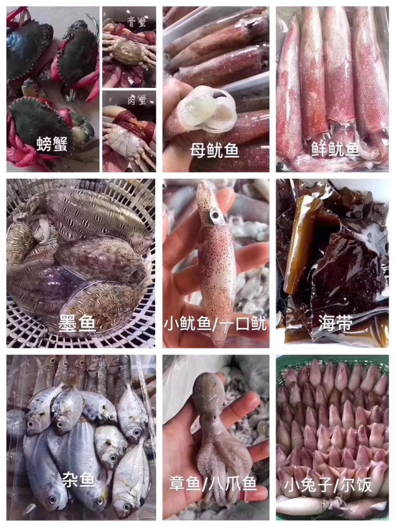 各类海鲜各类丸子诚招代理批发小区拼单合作