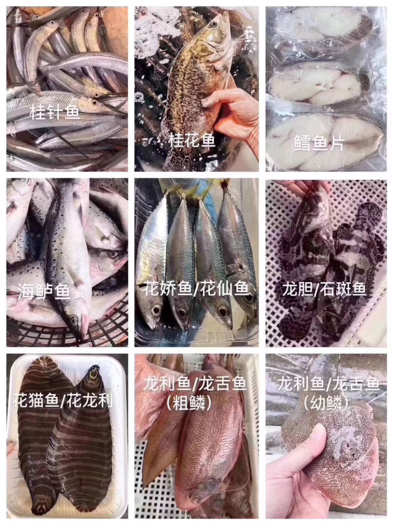 各类海鲜各类丸子诚招代理批发小区拼单合作