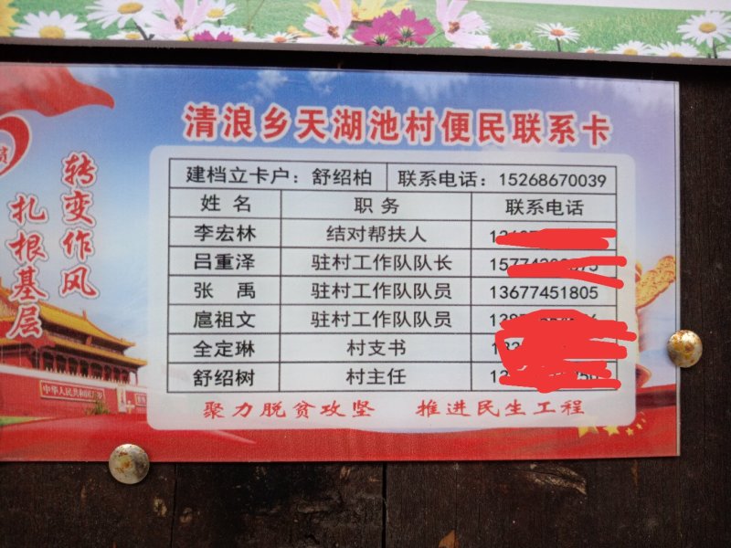 野生葛根粉