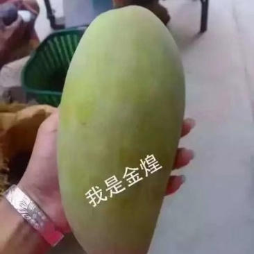 攀枝花凯特吉禄大量上市，好吃到爆