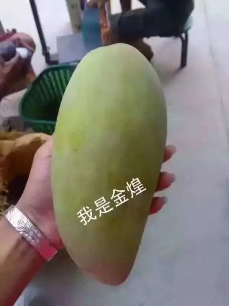 攀枝花凯特吉禄大量上市，好吃到爆