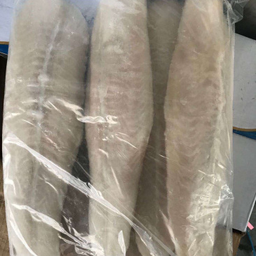 巴沙鱼越南工厂