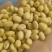 精选翠蚕豆