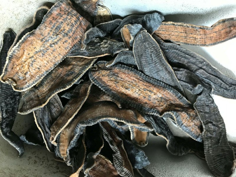 水蛭，别名蚂蟥，常年批发供应中药材水蛭