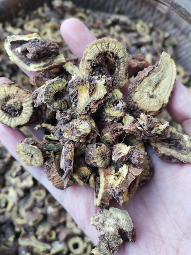 高含量黄芩，干黄芩，黄芩片，野生黄芩，老黄芩，枯芩