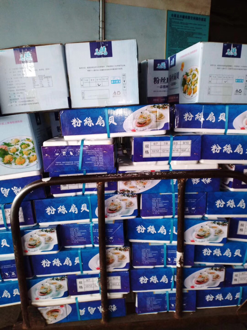 粉丝扇贝