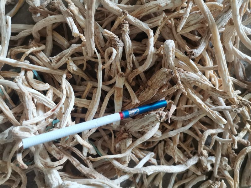 2021新产去皮选条高含量桔梗，颜色白皮去的干净正宗原产