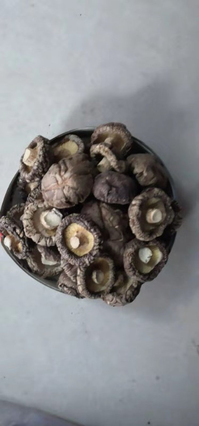 南阳春栽优选特面4.0干香菇产地直发/身干无杂/量大从优