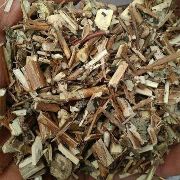 醉鱼草，常年批发供应，醉鱼草中药材