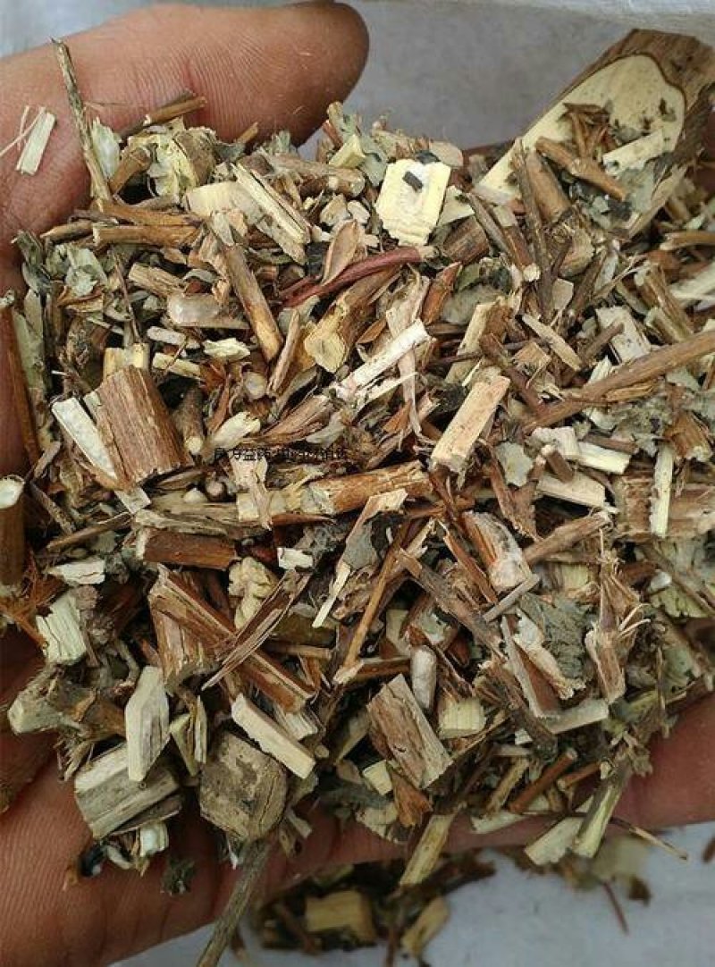 醉鱼草，常年批发供应，醉鱼草中药材