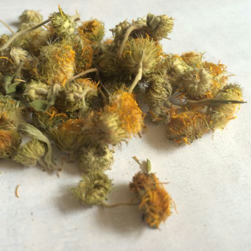 旋复花，常年批发供应各个产地，旋复花