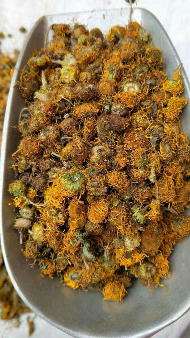 旋复花，常年批发供应各个产地，旋复花
