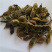 生槐角槐角茶槐实茶槐实槐子槐豆农副土特产