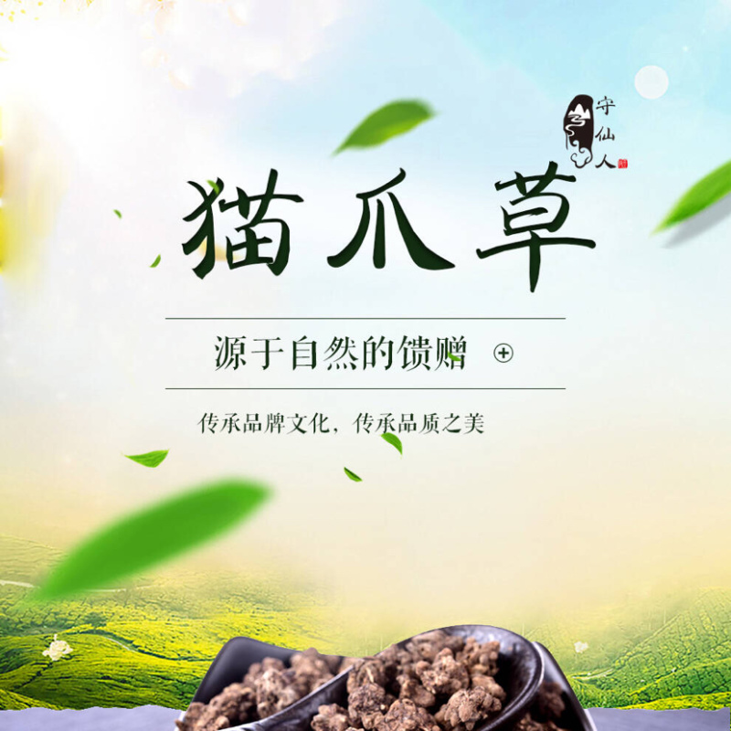猫爪草小毛茛猫抓草中药材精选货猫爪草