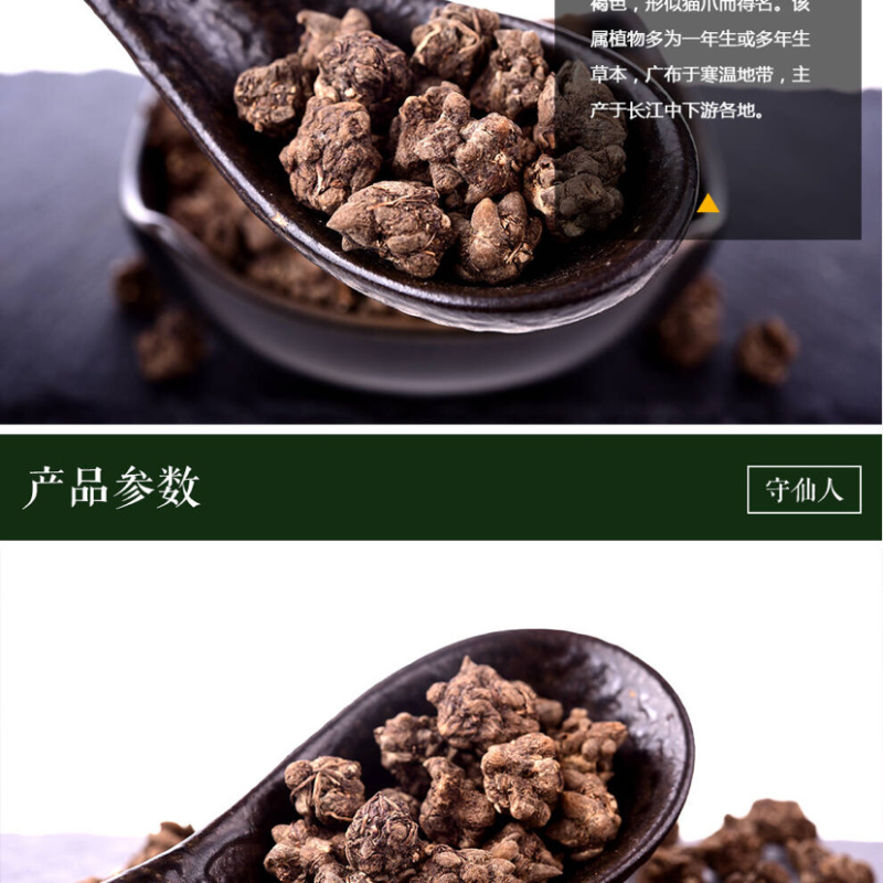 猫爪草小毛茛猫抓草中药材精选货猫爪草