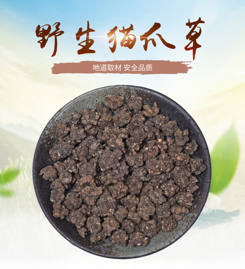 猫爪草小毛茛猫抓草中药材精选货猫爪草