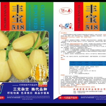 打籽西葫芦种子