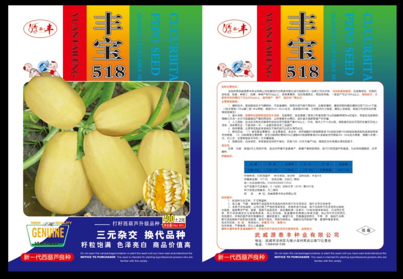 打籽西葫芦种子