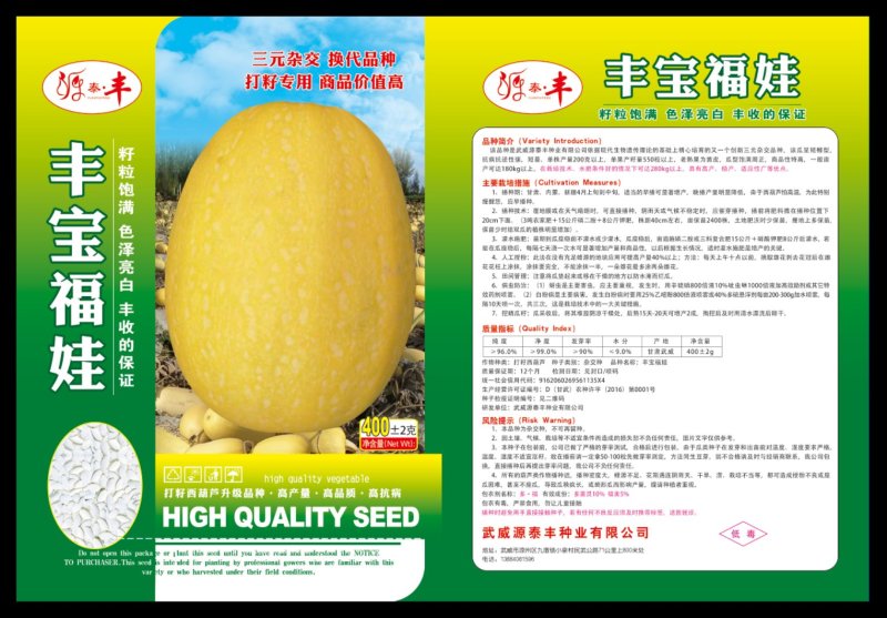 打籽西葫芦种子