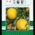 籽用南瓜子