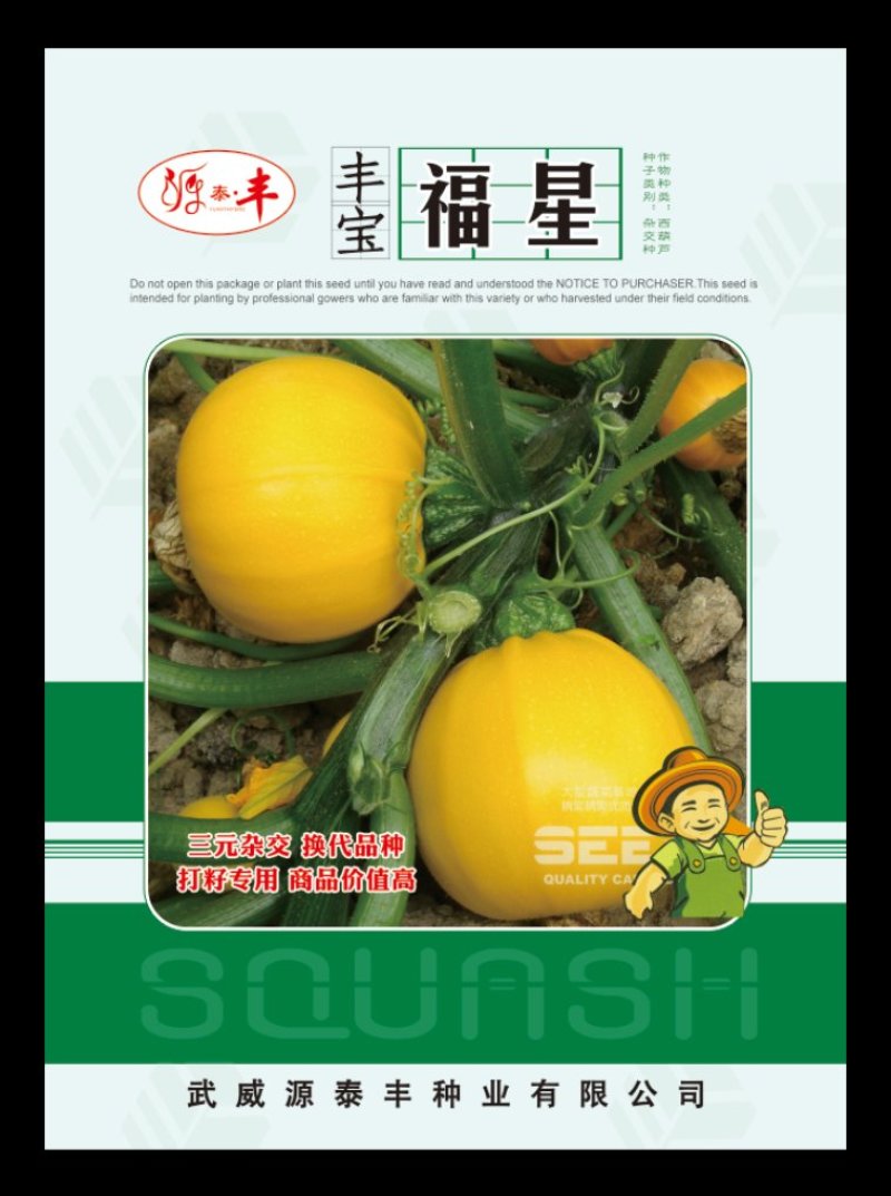 籽用南瓜子