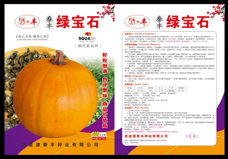 籽用南瓜子