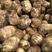 优质芋头原产地供货，可全国发货，保质保量提供一条龙服务