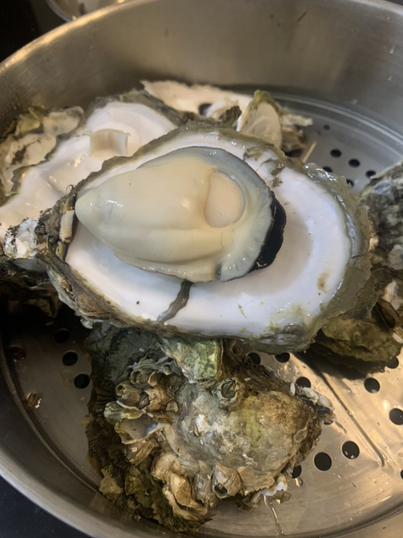阳江程村生蚝批发，自家养殖，物流发货全国，小区烧烤