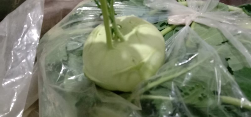 水果苤蓝