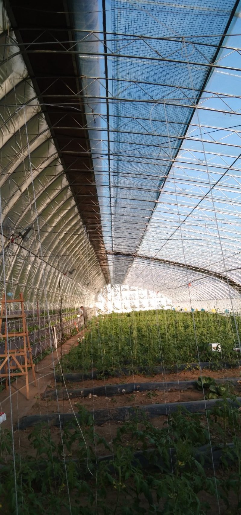 德隽成节能环保高温大棚