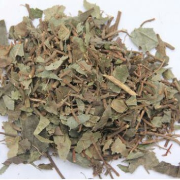 矮地茶，常年批发供应矮地茶，中药材，农产品