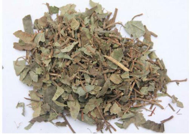 矮地茶，常年批发供应矮地茶，中药材，农产品