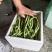 无筋豆豆王芸豆无丝豆3斤5斤9斤电商一件代发包售后