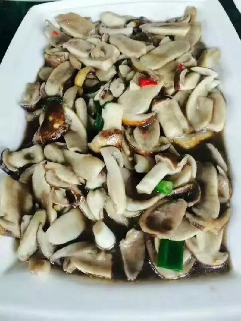 赤松茸