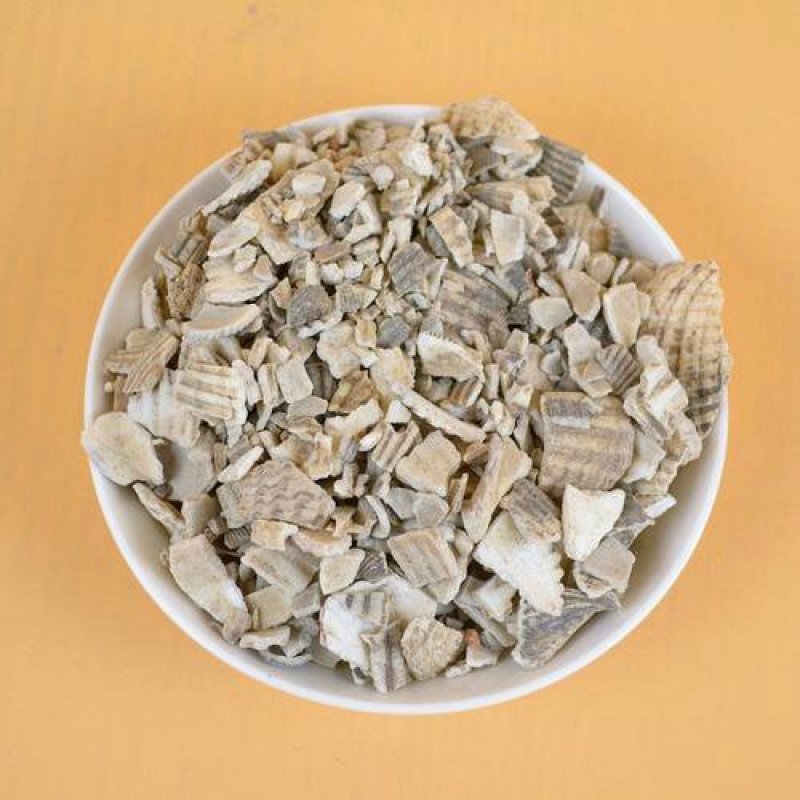 瓦楞子，常年批发供应冷背中药材瓦楞子