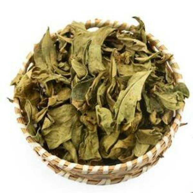 龙脷叶，常年批发供应冷背中草药，龙脷叶