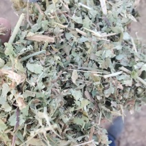 花生秧质量好价格实惠花生秧草粉花生秧颗粒全价料保质