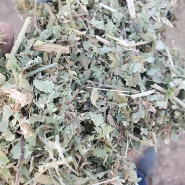 花生秧质量好价格实惠花生秧草粉花生秧颗粒全价料保质