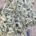 花生秧质量好价格实惠花生秧草粉花生秧颗粒全价料保质