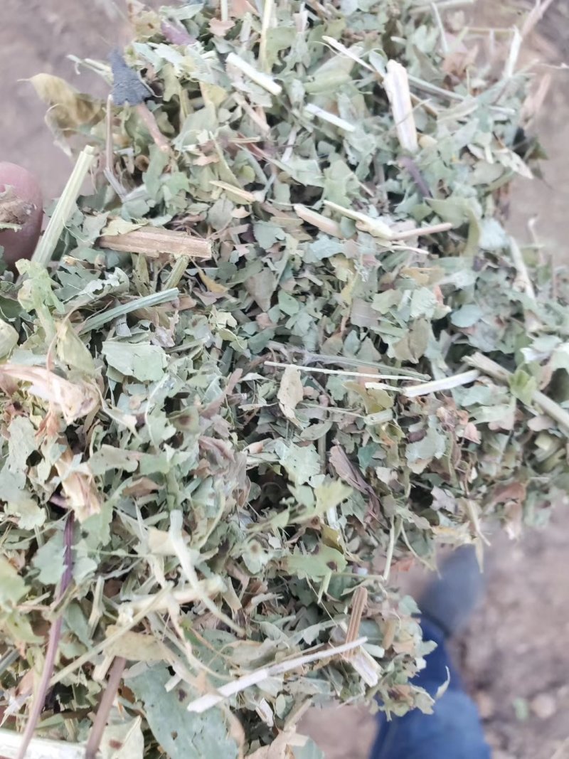 花生秧质量好价格实惠花生秧草粉花生秧颗粒全价料保质