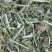 花生秧质量好价格实惠花生秧草粉花生秧颗粒全价料保质