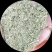 花生秧质量好价格实惠花生秧草粉花生秧颗粒全价料保质