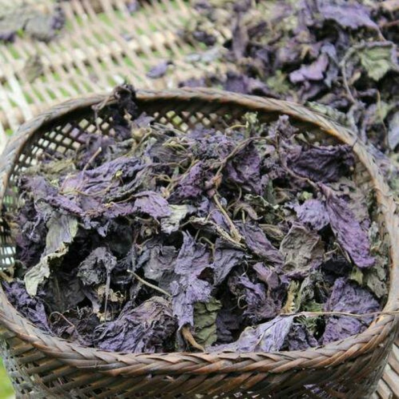 紫苏叶，常年批发供应紫苏叶，中草药
