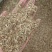纯新白花钱胡种子，干净无杂质，质量保证，