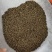 振兴药材批发供应吴茱萸规格齐全产地直供一手货源全国发货