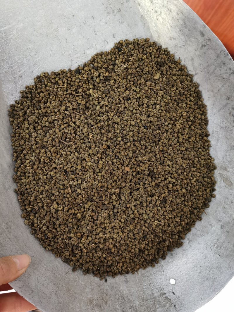 振兴药材批发供应吴茱萸规格齐全产地直供一手货源全国发货